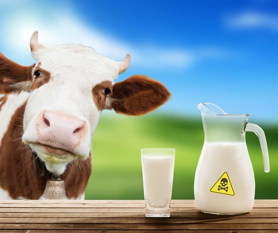 Cow Milk Protein Allergy Market Size, Growth Analysis 2035