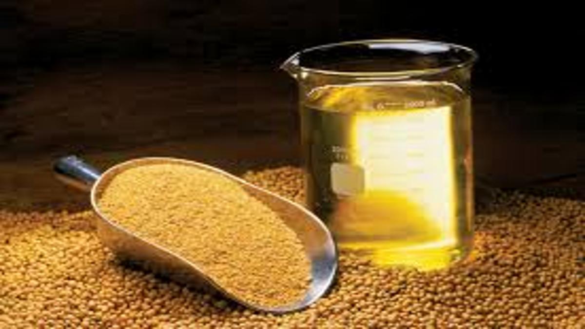 Soybean Meal Market Forecasts $246.73 B Revenue by 2035 with 5.7% CAGR