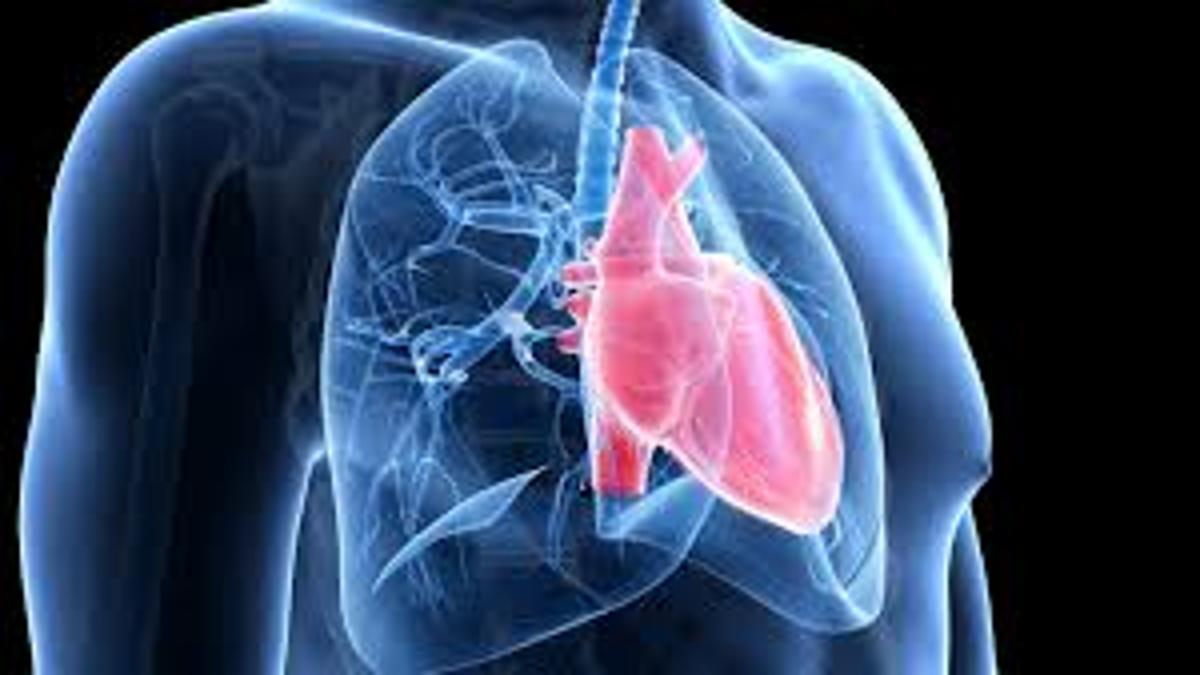 Pulmonary Arterial Hypertension Market Size & Trends | 2024-2035 Research Report