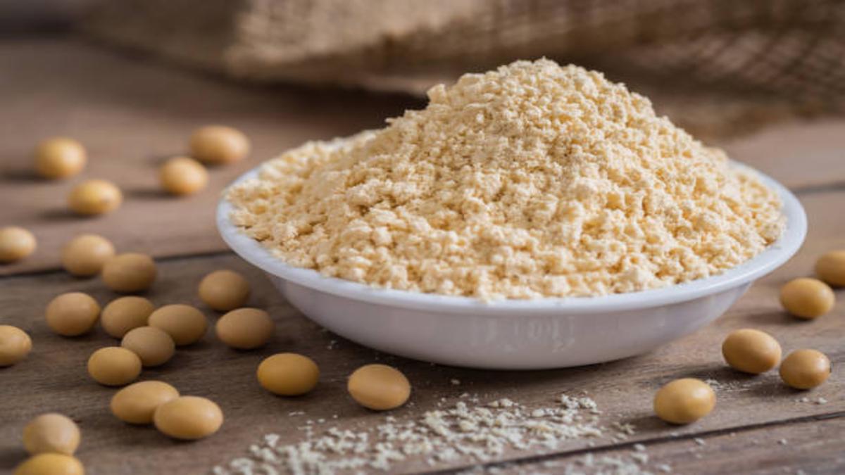 Soybean Meal Market Size Expected to Reach $246.73B by 2035