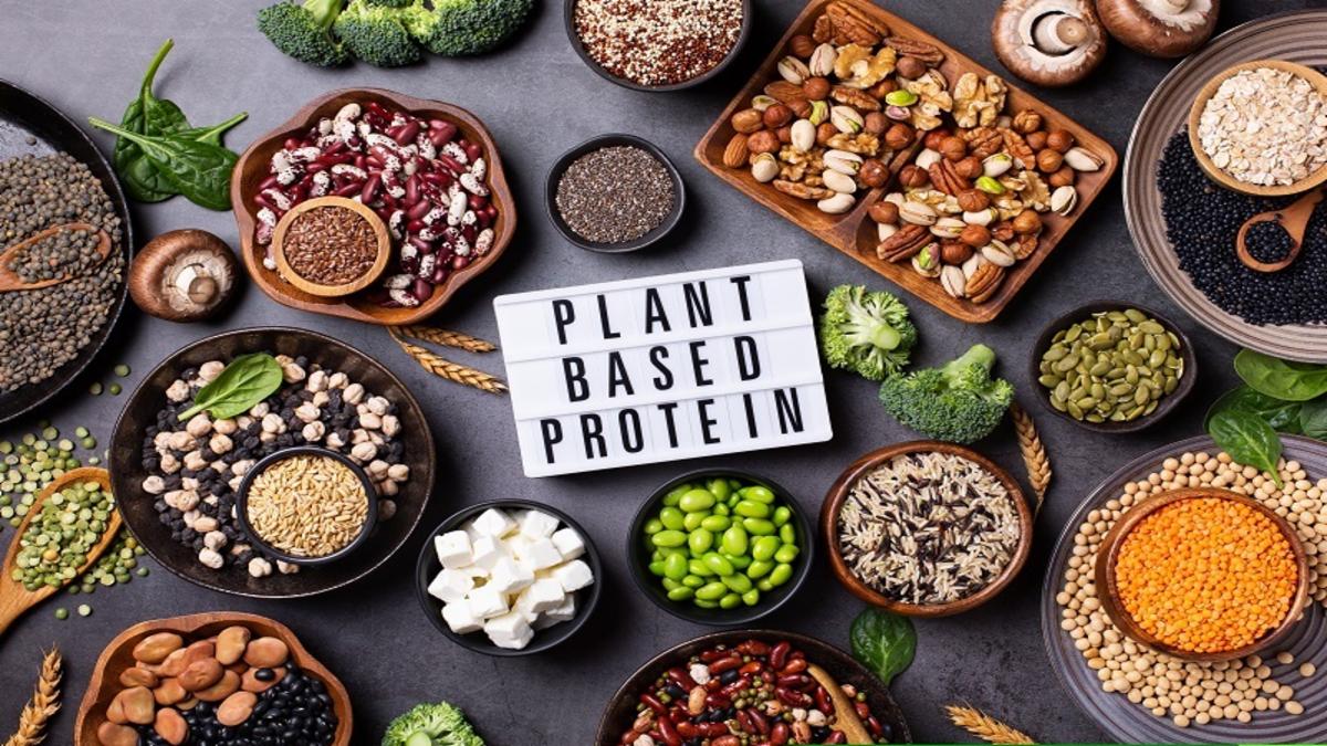 Plant-Based Protein: The Future of Healthy and Sustainable Nutrition