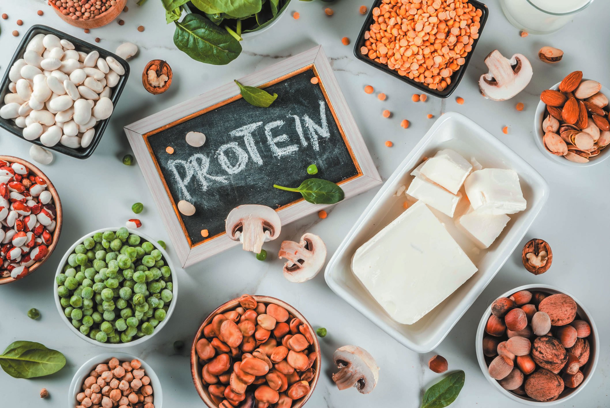 Plant-based Protein Market Size & Trends| Strategic Growth 2025