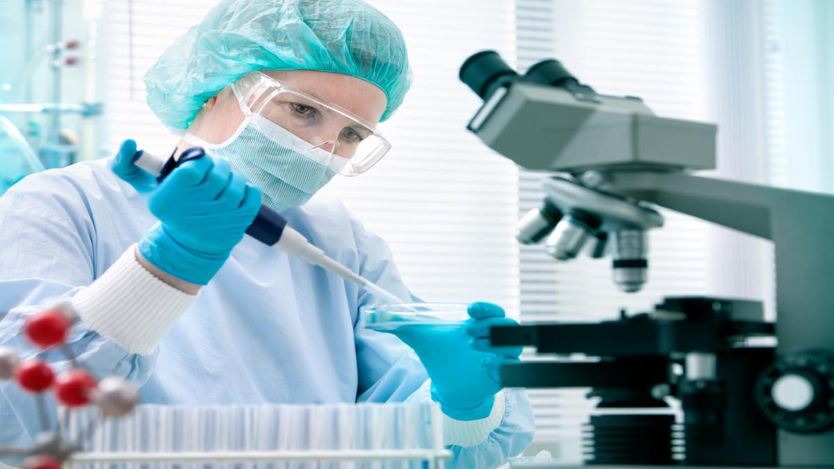 Preclinical CRO Market Thrives at $ 28.06B by 2035