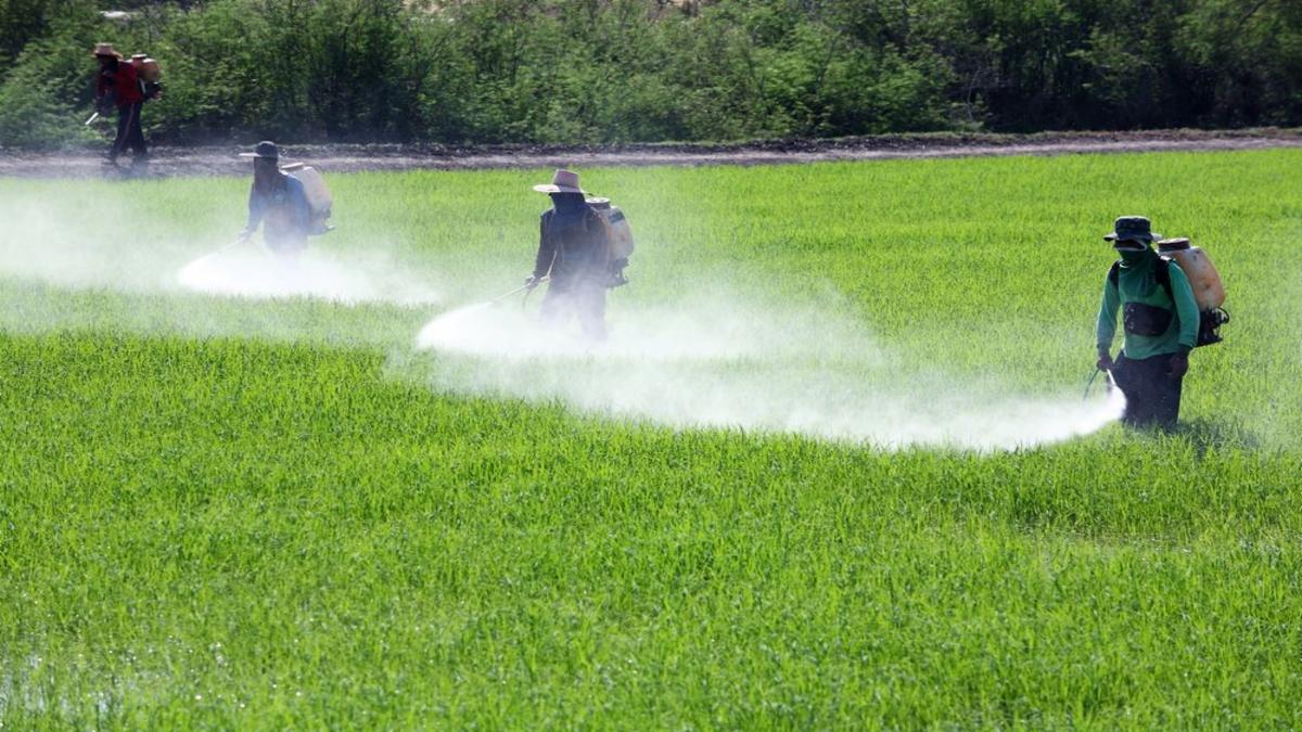 Agricultural Sprayers Market Size to Expand to USD 7.82 Billion by 2035